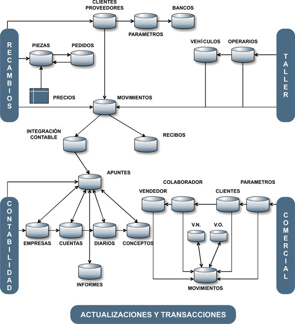 Gráfico estructura funcional